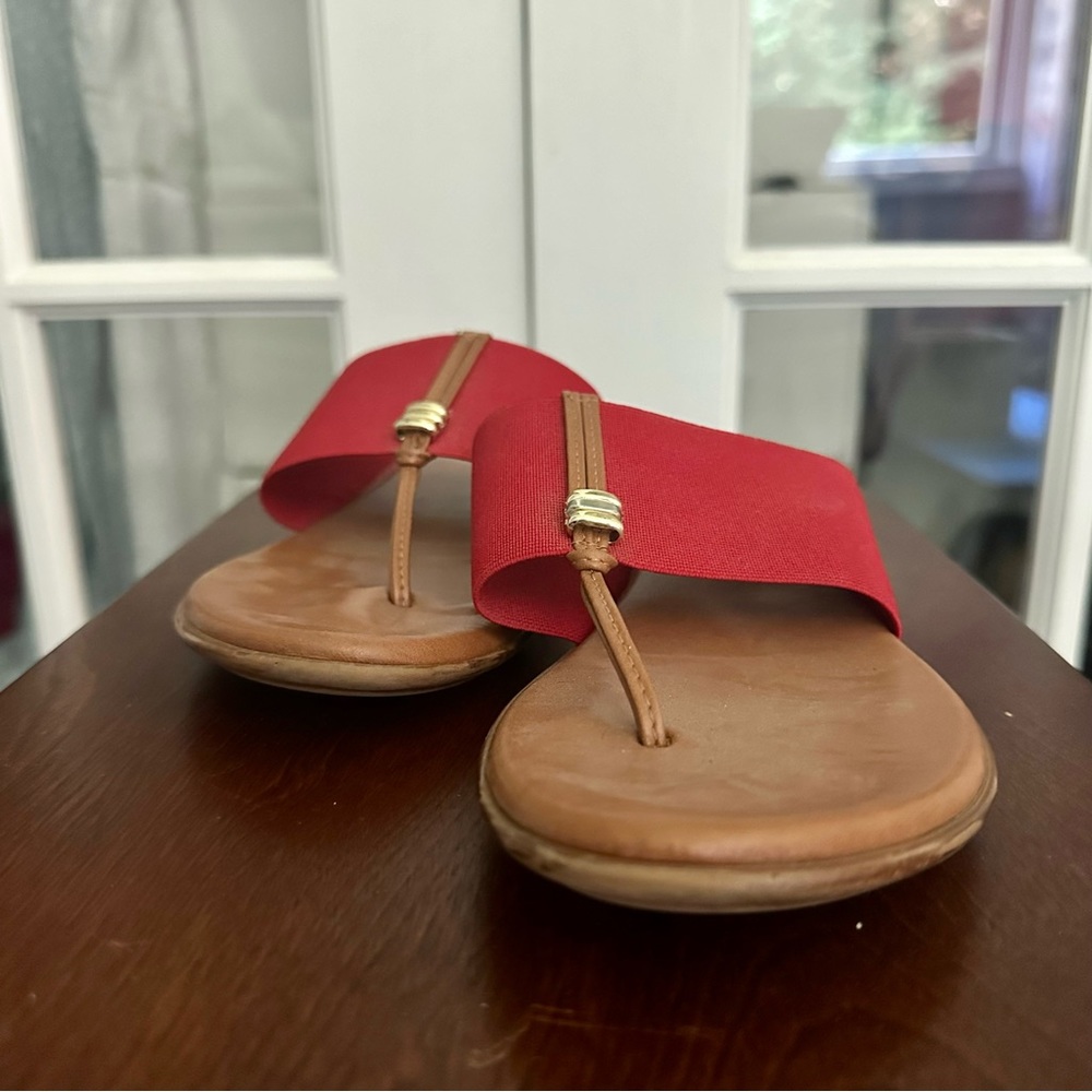 Summer Slides- Italian Shoemaker Asher Thong Sandal Red and Brown size 6.5